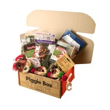 Guinea Treats & Guinea Pig