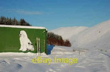 Photo 6x4 Dulux Dog and a pair