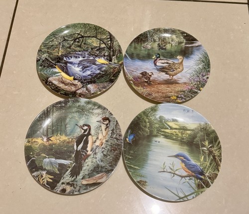 Britain beautiful birds - britain's,