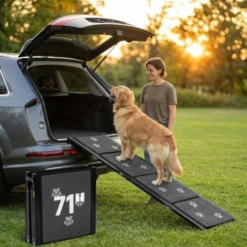 Folding dog ramp for car - ramp,