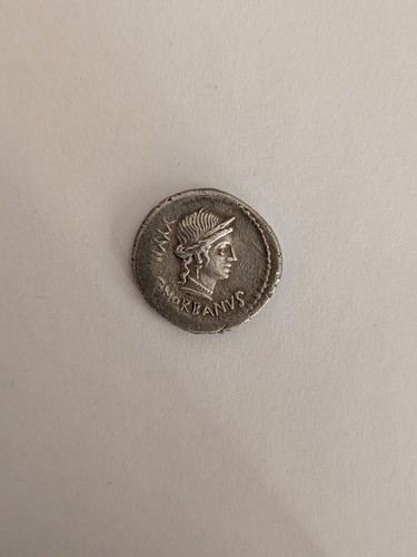 Norbanus denarius - norbanus,