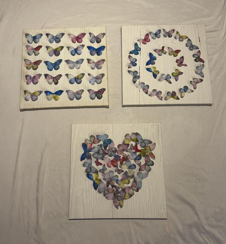 Set butterfly canvas - butterfly,