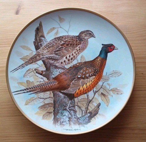 Capercailie game birds - -,