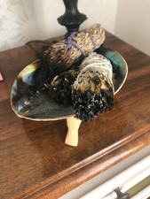 Sage Smudge Kit – Feather Wand, 4" White Sage & Abalone Shell  Energy Cleansing