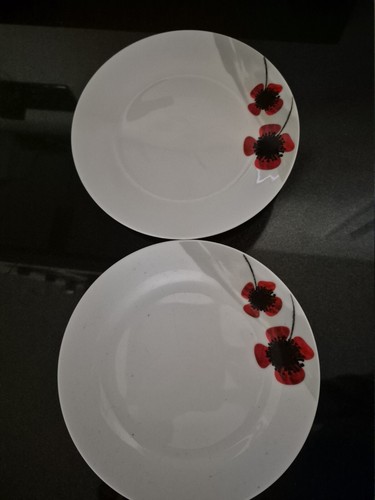 Regal spencer porcelain - 2,