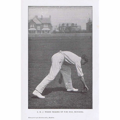 Cricket smj woods - smj,