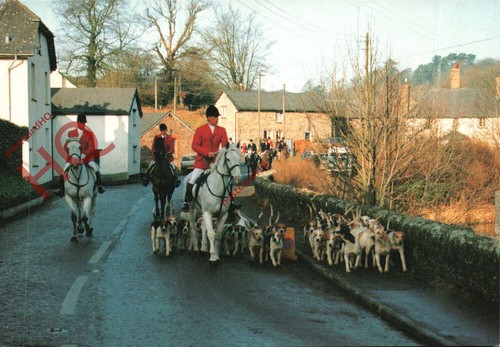Picture postcard exford - postcard~,