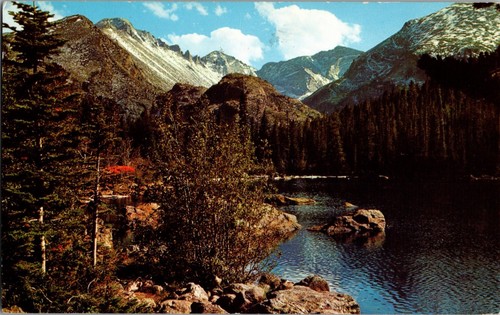 Vintage postcard bear lake - bear,