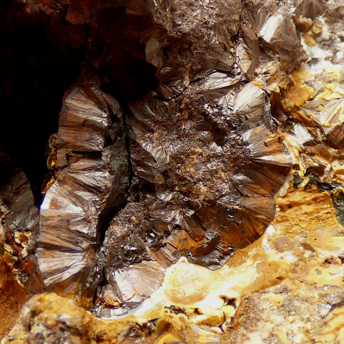 Goethite wood iron restormel - goethite,