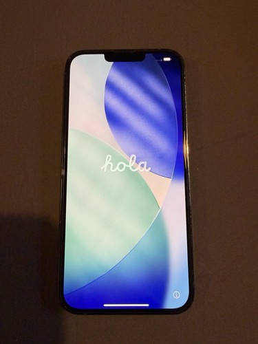 Iphone pro max 256gb - 13,