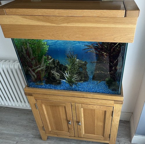 Oak fish tank 100l 76cm - fish, wide