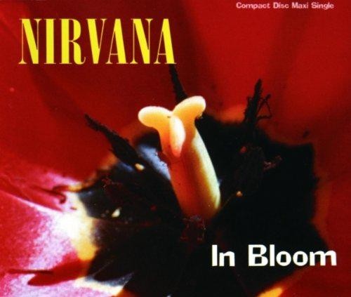 Bloom nirvana - in,