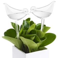 Plant Self Watering Bulb Clear