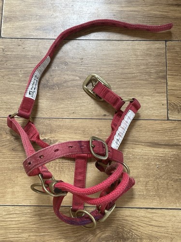 Monty roberts dually - roberts,