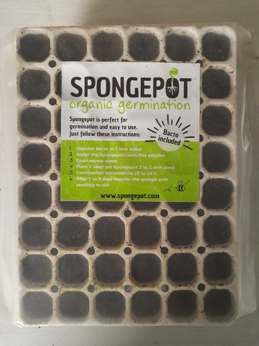 Spongepot pot organic seed - 48,