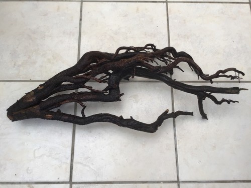 Natural alder root sculptural - natural,