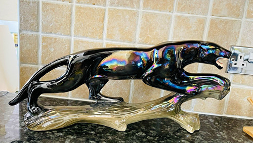 Original jena holland panther - holland,