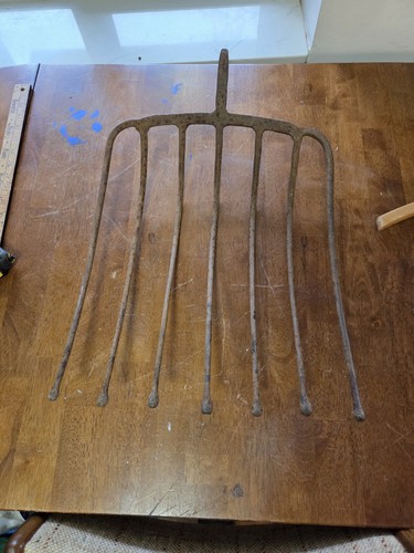 Antique tine silage potato - 10-tine,