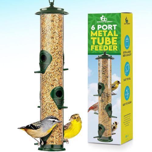 Squirrel proof bird - proof,