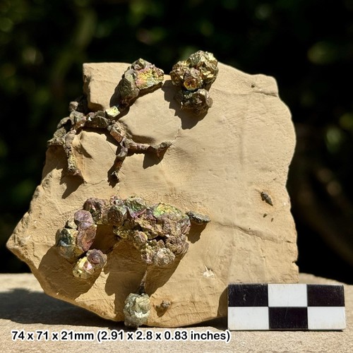 Rare rainbow pyrite supat mine - rare,