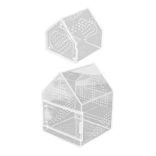 Jumping spider enclosure micro - jumping,