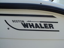 BOSTON WHALER  14" replacement