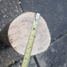 Green Spalted Box Wood Log For
