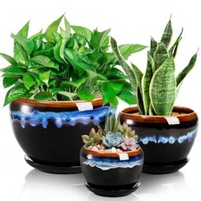 Avla pack ceramic - ceramic, flower