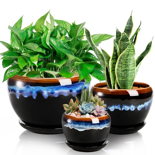 Avla pack ceramic flower - avla,