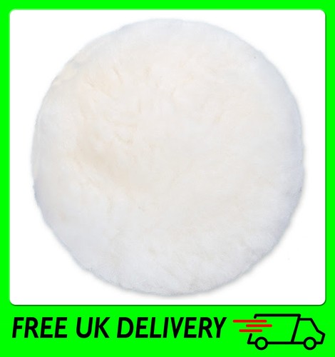 Lambs wool polishing - lambs,