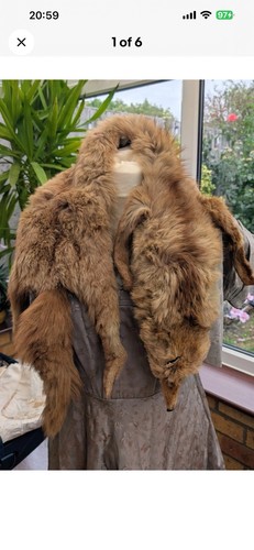 Fox fur vintage stole - stole, real