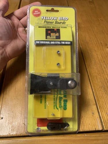Yellow bird side - yellow,