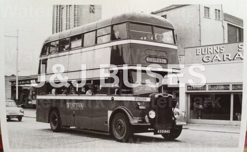 Bus photo western smt - western,