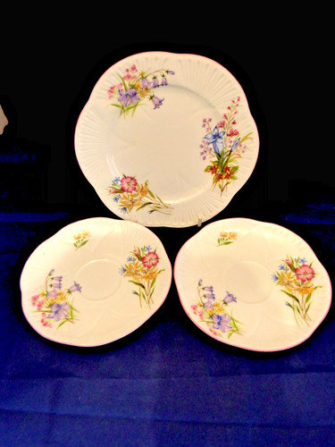 Shelley china dainty wild - dainty,