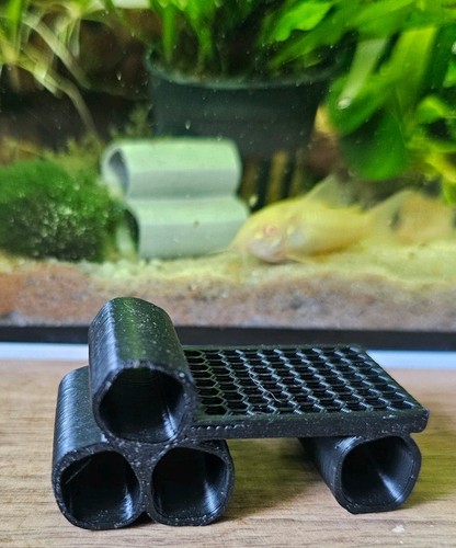 Nano shrimp breeding - nano,