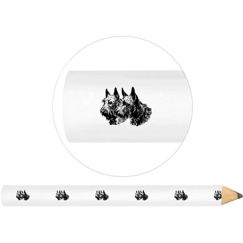 Scottish terrier couple - terrier, couple'