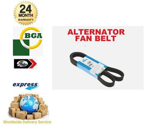 Alternator fan belt ribbed - fan, v-ribbed