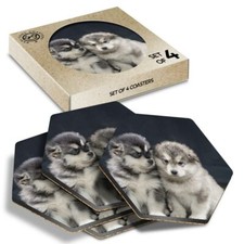 4 x Hexagon Coasters - Alaskan
