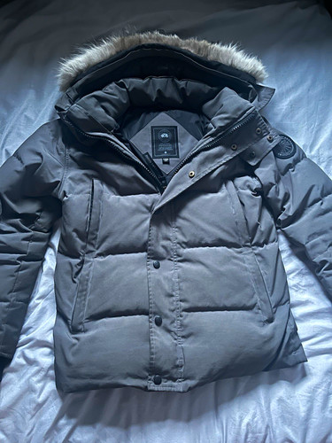 Canada goose arctic program - canada,