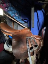 Full Tree Exercise Saddle