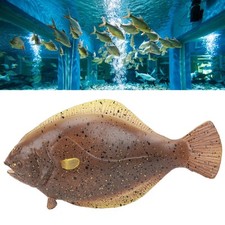 (Ocean Fish Model)Simulation