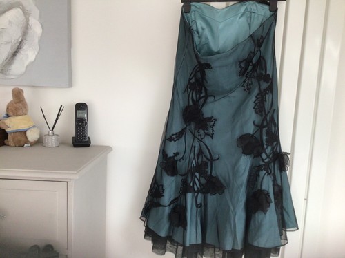 Coast cocktail party dress