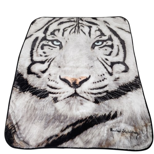 The northwest white tiger - white,