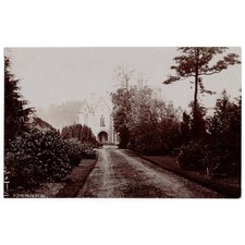 ASHDOWN PARK East Grinstead, Sussex RP Postcard Unused