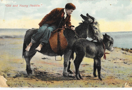 Postcard 007 old and - and, young