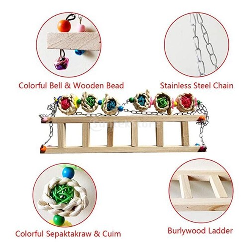 Chicken ladder perch funny - chicken,