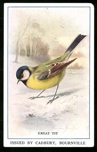 Collectible picture - collectible,
