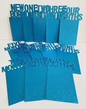 Baby Photo Banner Birthday Boy Blue Milestones- Newborn to 12 Months Fits 6 x 4