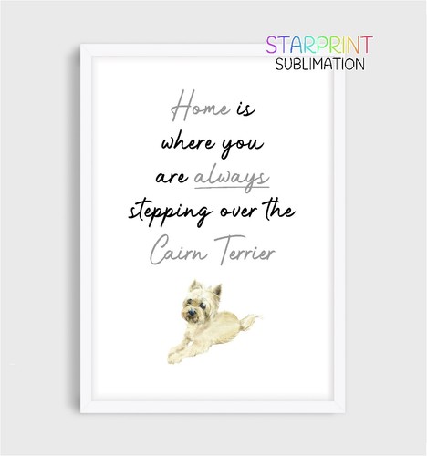 Cairn terrier unframed home - terrier,