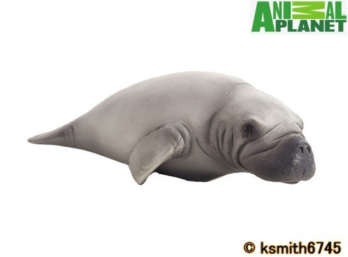 Mojo animal planet - mojo,